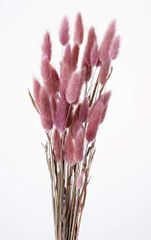 Item thumbnail for item f8512601-56ad-4c77-87d5-811351156836