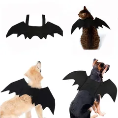 インフィニティバット　平田良介限定モデル インフィニティバット (@888_bat) • Instagram photos and videos