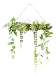 【特価商品】アンティーク 雑貨 インテリア フレーム 人工 大型 室内 壁掛 エアープランツ 人工観葉植物 おしゃれ グリーン 造花 観葉植物 緑 フェイクグリーン 】 植物 フック付き 50cm×40cm フェイク (壁掛け 壁掛け ウォールグリーン 木)