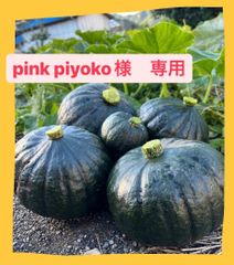 pink piyoko様　専用ページ