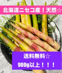 北海道産 ニセコ産根曲がり竹 ネマガリタケ タケノコ 姫竹