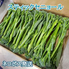スティックセニョール ネコポス