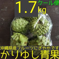 沖縄県産 アテモヤＢ品約1.7kg【クール便】12/13③