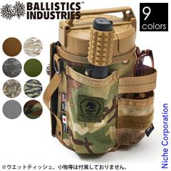 Item thumbnail for item 3c25a71e-2c89-4ff6-9882-0f57acb59eba