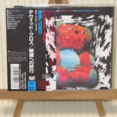 CD　デヴィッド・クロス　破滅への試行　帯付　PCCY-00631　DAVID CROSS