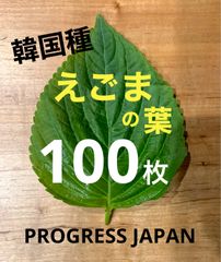 【ハウス栽培】韓国産　えごまの葉　100枚セット