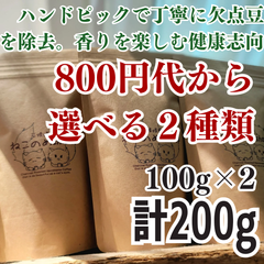 800円代商品から選べる２種類 新鮮厳選 炭火自家焙煎コーヒー豆 100g×2袋 200g 可愛い猫柄 ねこのめ珈琲 ハンドピック済 お土産用にもどうぞ