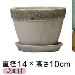 【新品】直径14cm 植木鉢 セメントポット リト おしゃれ 丸型 皿付 室内 屋内 多肉植物 小さい鉢