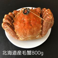 北海道産 チルド毛ガニ（約800g） BIG未サイズ 未冷凍　海明けガニ