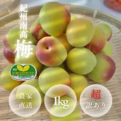 終了間近！】完熟梅 南高梅小キズあり