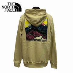 THE NORTH FACE MEN'S NOVELTY GRAPHIC HOODIE ザ ノースフェイス ノベルティ グラフィック フーディ スウェットパーカー バックプリント アメリカ本国モデル  NF0A87QTO72 (1528)