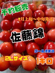 1  予約販売　北海道産　さくらんぼ　佐藤錦　2Lサイズ　1キロ  7月発送予定