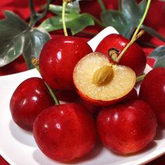 極実 大粒さくらんぼ 紅てまり 350g×2 2～4Lサイズ 山形県産 贈答規格 JA共撰品 農林水産大臣賞受賞の高級サクランボ！