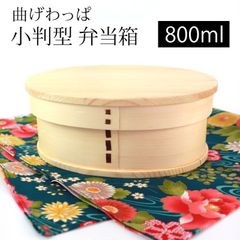 Item thumbnail for item d7ac2d49-a7e2-48ff-a693-df62a82ea207