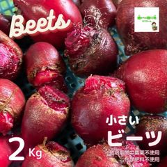 ☆農薬や化学肥料は使用しておりません　小さいビーツ　埼玉県産　約２kg（※サイズは約３ｃｍ〜７ｃｍの小さいものになります）