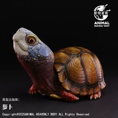 11月発売予定!【動物の惑星】トウブハコガメ(オレンジ)フィギュア 11月発売予定!【動物の惑星】トウブハコガメ(オレンジ)フィギュア