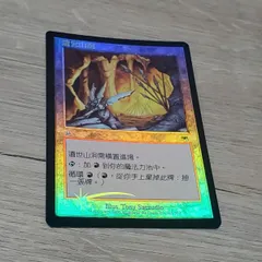 2024年最新】mtg FOIL 中国語の人気アイテム - メルカリ