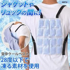 アイスリュック 保冷剤 リュック 背中用 冷却 冷たい 熱中症 暑さ対策 保冷 夏 冷却ベスト ひんやり 作業着 冷感 ベスト 作業服 背あてパッド 背当てパット
