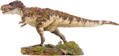 PNSO 限定版 豪華セット 1/35 サイズ ティラノサウルス・レックス Ｔ-REX Tレックス 恐竜 科学 芸術 模型 リアル 動物 フィギュア PVC プレミアム プラモデル 大人 おもちゃ 37.5cm級 台座付き オリジナル 塗装済
