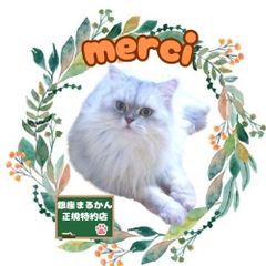 shop-thumbnail