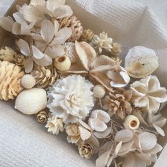 ドライフラワー ドライ ナッツ 木の実 詰め合わせ セットˎˊ˗ ホワイト　ナチュラルミックス  紫陽花　　No.41