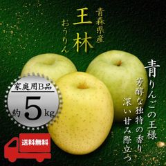 青森県産 ＂ 王林 ＂ りんご【ご家庭用B品5kg】【送料無料】【産地直送】リンゴ 林檎