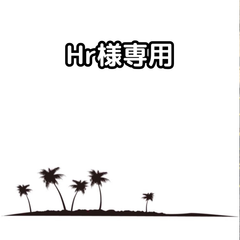 Hr様確認用　【抜き苗】ワシントニア フィリフェラ20本