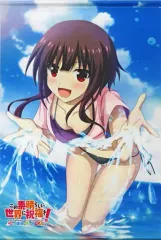 【中古】タペストリー めぐみん B2タペストリー 「PS4/Switchソフト この素晴らしい世界に祝福を! ～呪いの遺物と惑いし冒険者たち～」 アニメイト購入特典