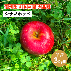幻の林檎「シナノホッペ3キロ箱A品B品」農林水産大臣賞 りんご 長野県産 安曇野 信州産 産地直送 送料無料 3キロ 箱使用 果物 フルーツ 鮮度抜群 産地直送