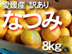 【送料無料】　愛媛産　なつみ　B　ご家庭用り　約8ｋｇ　柑橘　南津海