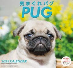 Item thumbnail for item 1fe2af74-6d05-4d44-8293-8d7562f17d3f