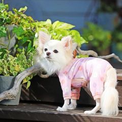犬と生活　バグガードスーツ
