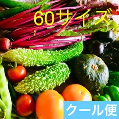 2024年最新】食品サンプル畑の人気アイテム - メルカリ