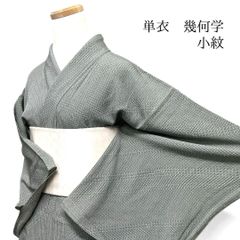 MI様専用です❣️ 【着物と帯 時流】ヒ26243s◇洗える着物 単衣