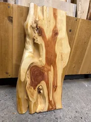 2026年最新】カイヅカイブキの人気アイテム - メルカリ