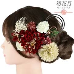 髪飾り 成人式 水引 つまみ細工 赤 ゴールド 振袖 袴 花 白 ピンク 黒 ちりめん 剣つまみ 9点セット 着物 和装 かんざし コーム No.9-5491