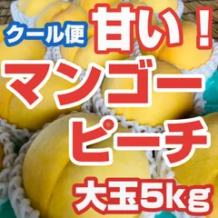 2025年最新】訳ありマンゴーの人気アイテム - メルカリ