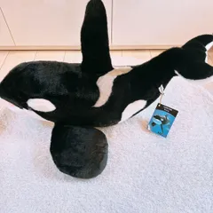 名古屋港水族館 ぬいぐるみくじ 特賞 シャチ 黒 Amazon.co.jp: 名古屋港水族館 ぬいぐるみ くじ シャチ 2種類