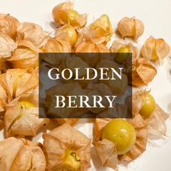 富山県産 ゴールデンベリー 食用ほおずき 約100g