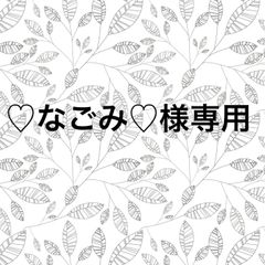 専用ページ