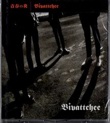 新品CD／未開封品 『青春の炎／Bivattchee』　M_R0171