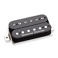 2026年最新】seymour duncan sh-2の人気アイテム - メルカリ