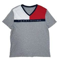 Lsize Tommy Hilfiger Tee トミーヒルフィガー ロゴ 半袖 2491803
