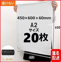 【匿名配送】LDPE宅配袋 宅配ビニール袋 テープ付き 梱包資材 A2 a2 20枚