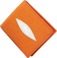 2025年最新】スタースティングレイの人気アイテム - メルカリ