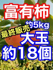 ① 【残り数箱！】大玉入り　 富有柿　約5kg   ご家庭用