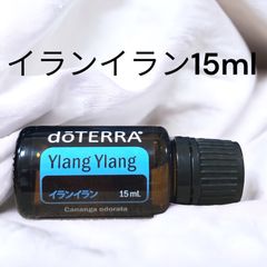 入荷困難‼️正規品‼️ドテラ doTERRA ディープブルーラブスティック48g