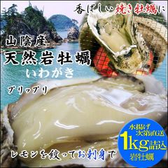 ☆6月中旬～発送予定☆山陰産 岩牡蠣(生)(冷蔵便)1kg(4-6個入)イワガキカキかきいわがき岩ガキ岩カキ