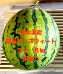 【産地直送・訳あり・大玉すいか赤果肉・即日発送可】熊本県産羅皇ザ・スウィート　３L　１玉　訳あり品　優品