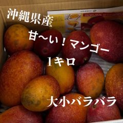 １Kg【クール便、送料無料】沖縄県産　甘〜い　ミニマンゴー　1ｋｇ　アップルマンゴー　※早い者勝ち　国産　甘いフルーツ